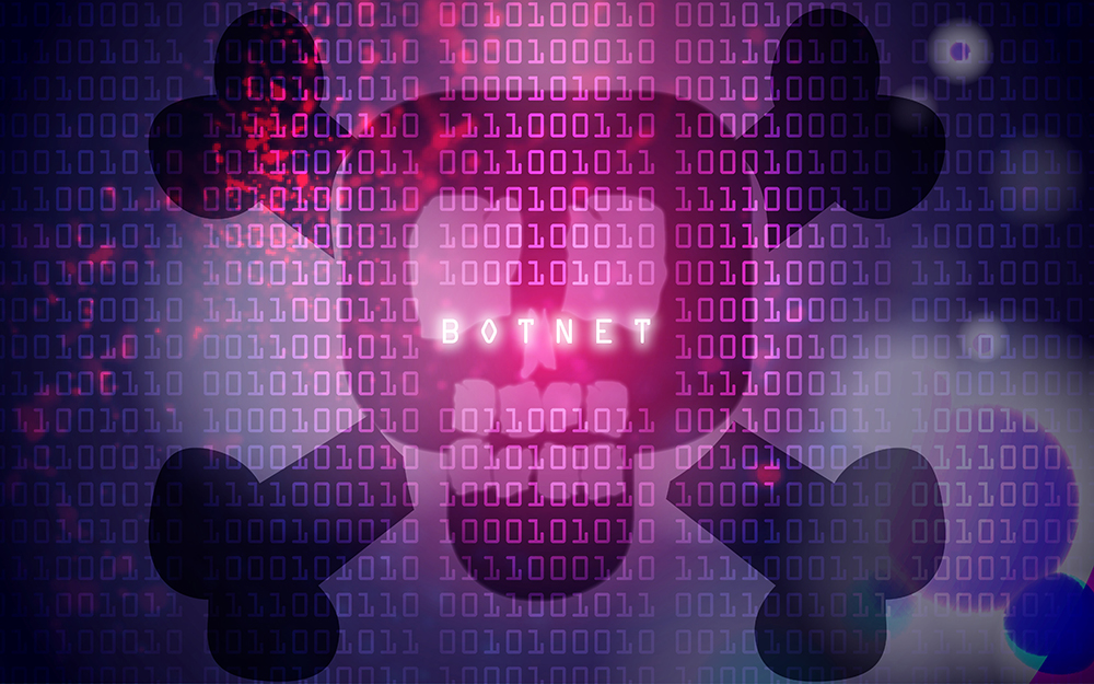 Prevent your network from being attacked by a Botnet