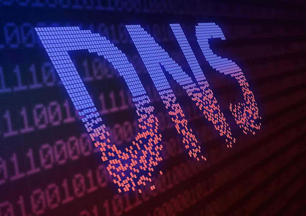 Editor’s question: How can organisations prevent DNS attacks?